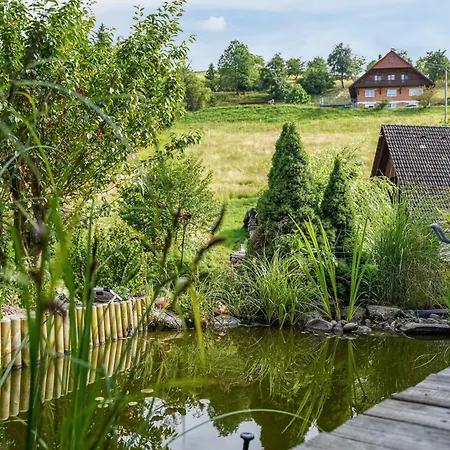 Apartman Furtwengler