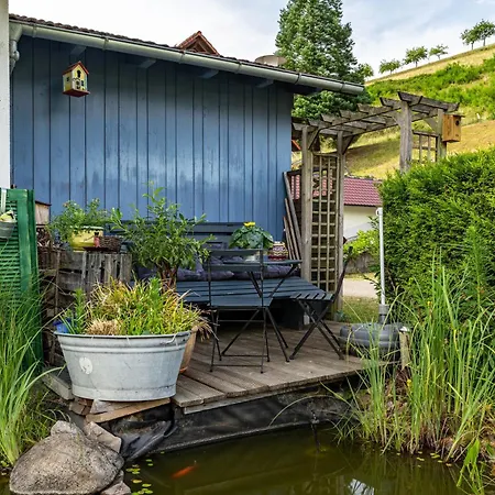 Apartman Furtwengler *